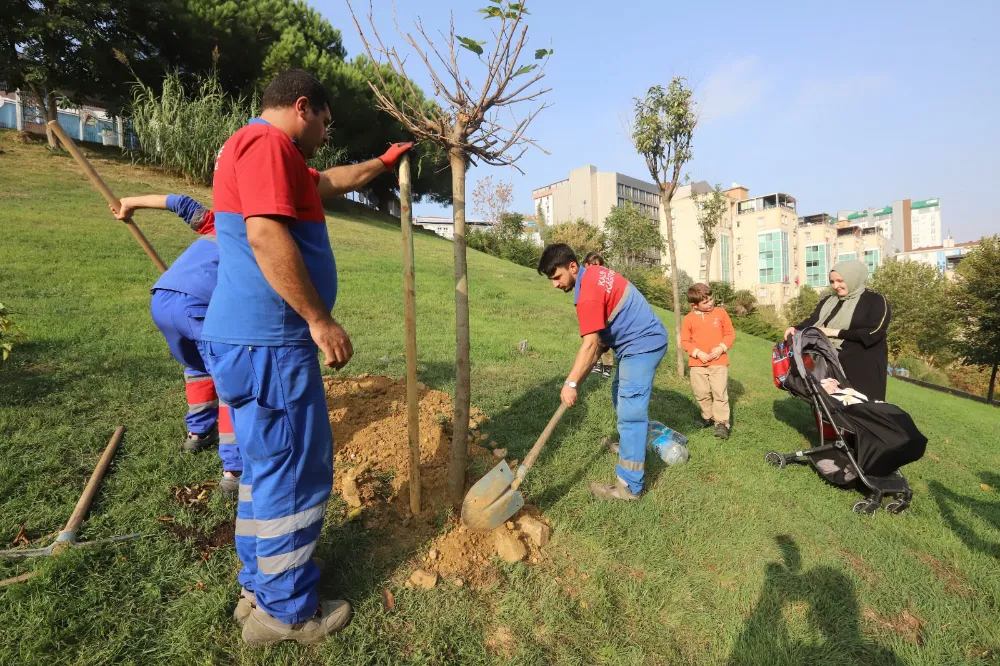 KÂĞITHANE BELEDİYESİ İLÇEYE 60 BİN AĞAÇ KAZANDIRDI / İstanbul Gazetem Kağıthane