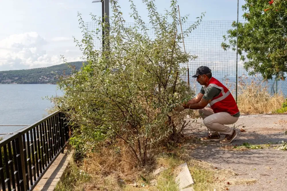 Adalar’a Başkan Eli Değiyor!